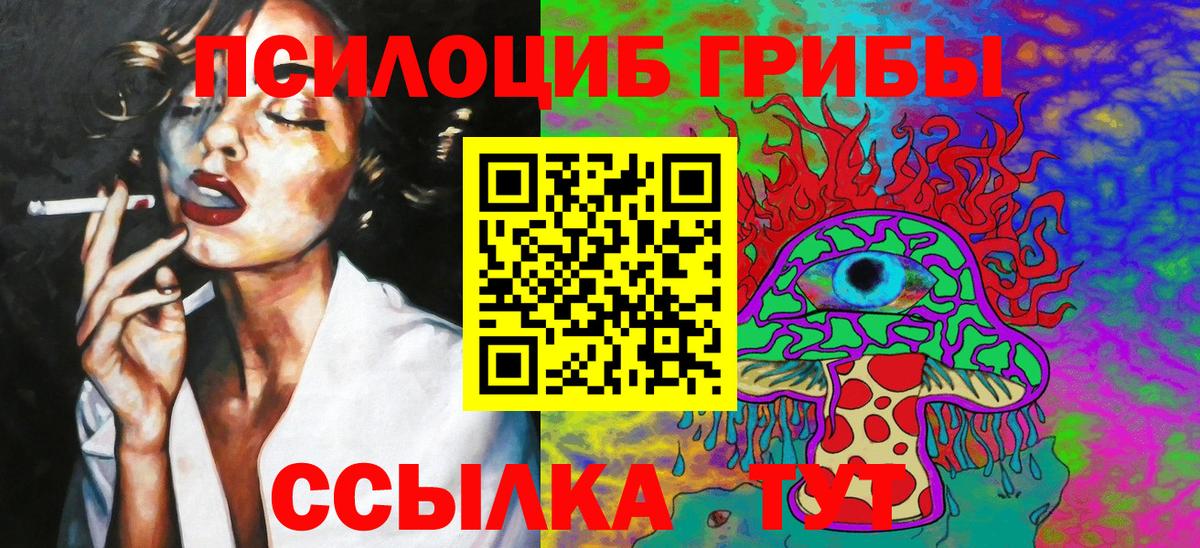 Назрань  Псилоцибиновые грибы Cubensis  Вход с VPN 